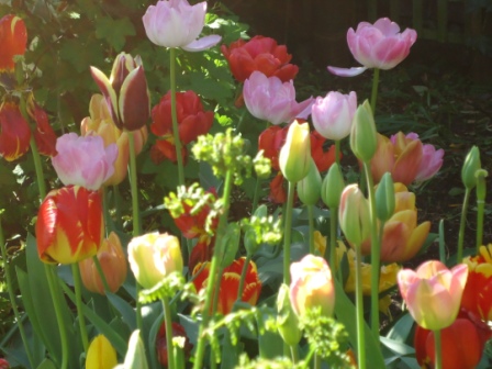 ???????????????????????????????